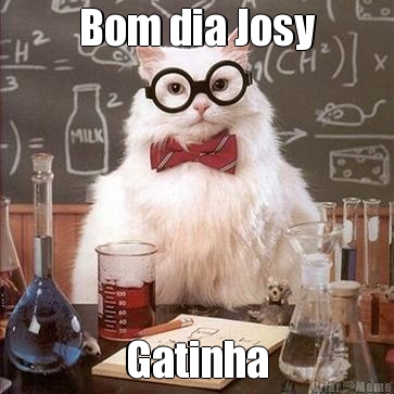 Bom dia Josy Gatinha