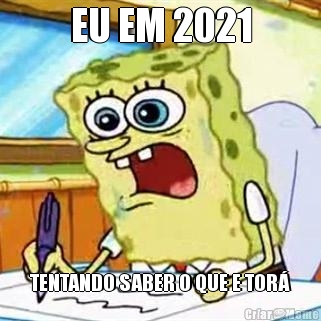 EU EM 2021 TENTANDO SABER O QUE E TOR