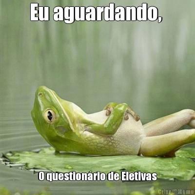 Eu aguardando,  O questionrio de Eletivas