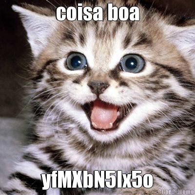 coisa boa yfMXbN5lx5o