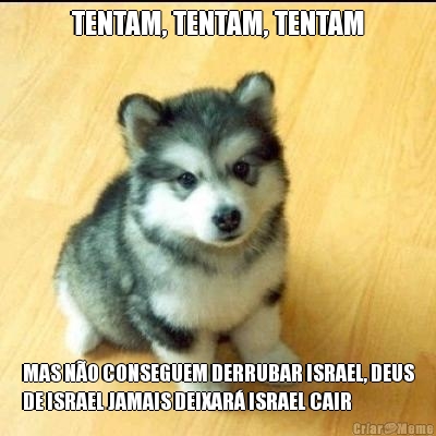 TENTAM, TENTAM, TENTAM MAS NO CONSEGUEM DERRUBAR ISRAEL, DEUS
DE ISRAEL JAMAIS DEIXAR ISRAEL CAIR