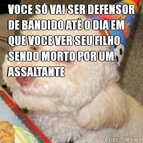 VOCE S VAI SER DEFENSOR
DE BANDIDO AT O DIA EM
QUE VOCE VER SEU FILHO
SENDO MORTO POR UM
ASSALTANTE
 