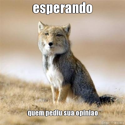 esperando quem pediu sua opiniao