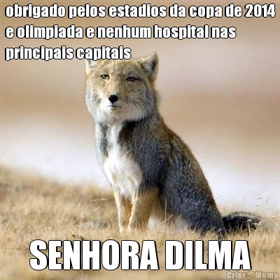 obrigado pelos estadios da copa de 2014
e olimpiada e nenhum hospital nas
principais capitais 
 SENHORA DILMA