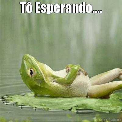 T Esperando.... 