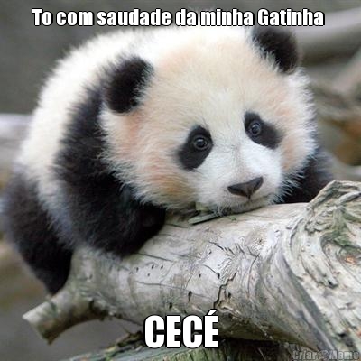 To com saudade da minha Gatinha  CEC