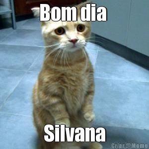 Bom dia  Silvana