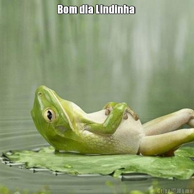 Bom dia Lindinha  