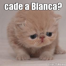 cade a Bianca? 