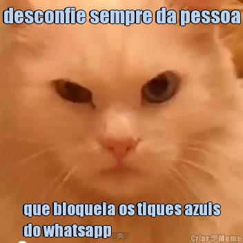 desconfie sempre da pessoa que bloqueia os tiques azuis
do whatsapp