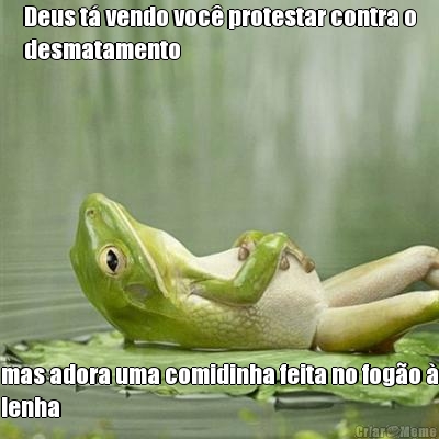 Deus t vendo voc protestar contra o
desmatamento mas adora uma comidinha feita no fogo 
lenha