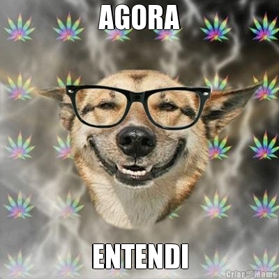 AGORA ENTENDI