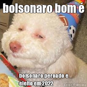 bolsonaro bom  bolsonaro peroado e
eleito em 2022