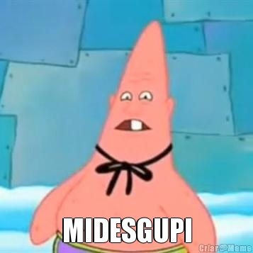  MIDESGUPI