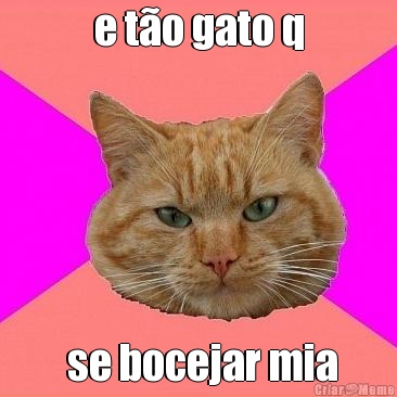 e to gato q  se bocejar mia