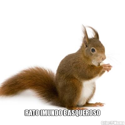  RATO IMUNDO E ASQUEROSO