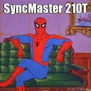 SyncMaster 210T 