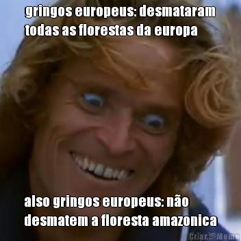 gringos europeus: desmataram
todas as florestas da europa also gringos europeus: no
desmatem a floresta amazonica