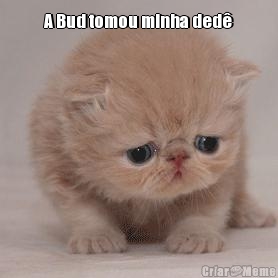 A Bud tomou minha ded 