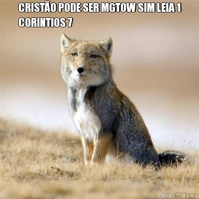 CRISTO PODE SER MGTOW SIM LEIA 1
CORINTIOS 7 