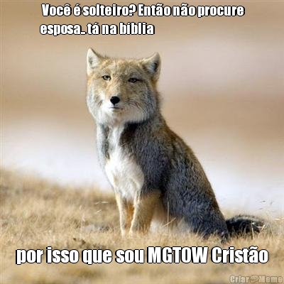  Voc  solteiro? Ento no procure
esposa.. t na bblia por isso que sou MGTOW Cristo