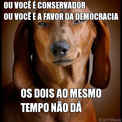 OU VOC  CONSERVADOR
OU VOC  A FAVOR DA DEMOCRACIA OS DOIS AO MESMO
TEMPO NO D