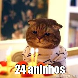   24 aninhos