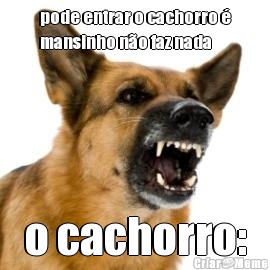 pode entrar o cachorro 
mansinho no faz nada o cachorro: