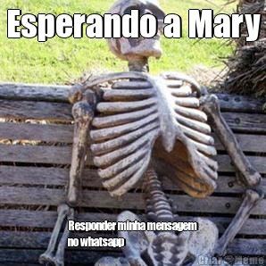 Esperando a Mary Responder minha mensagem
no whatsapp