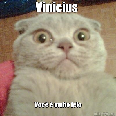 Vinicius  Voc  muito feio