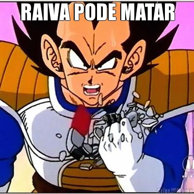 RAIVA PODE MATAR 