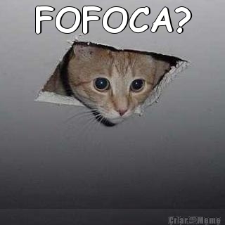 FOFOCA? 
