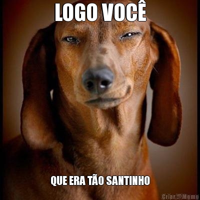 LOGO VOC QUE ERA TO SANTINHO