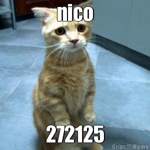 nico 272125