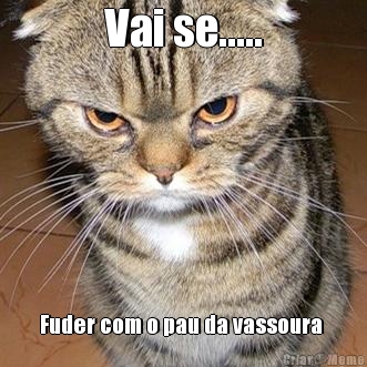 Vai se..... Fuder com o pau da vassoura 

