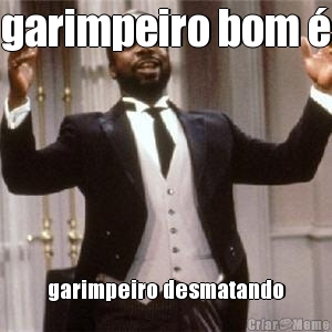 garimpeiro bom  garimpeiro desmatando