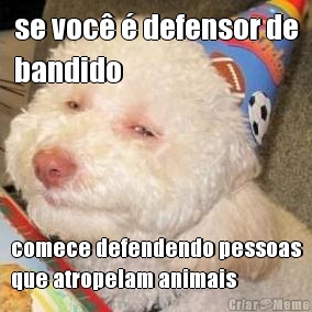 se voc  defensor de
bandido comece defendendo pessoas
que atropelam animais