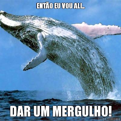 ENTO EU VOU ALI... DAR UM MERGULHO!