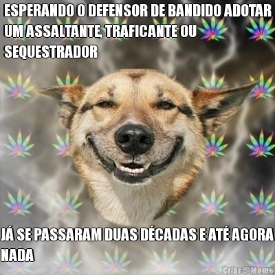 ESPERANDO O DEFENSOR DE BANDIDO ADOTAR
UM ASSALTANTE, TRAFICANTE OU
SEQUESTRADOR J SE PASSARAM DUAS DCADAS E AT AGORA
NADA