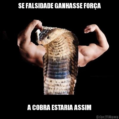 SE FALSIDADE GANHASSE FORA A COBRA ESTARIA ASSIM