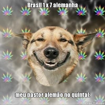 Brasil 1 x 7 alemanha meu pastor alemo no quintal: