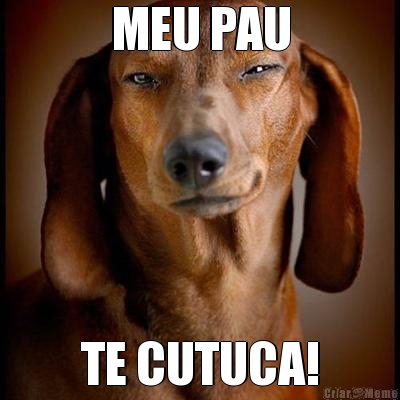 MEU PAU TE CUTUCA!