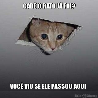 CAD O RATO J FOI? VOC VIU SE ELE PASSOU AQUI 