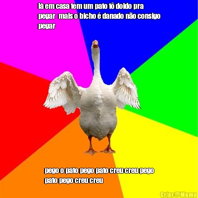 l em casa tem um pato t doido pra
pegar  mais o bicho  danado no consigo
pegar
 pego o pato pego pato creu creu pego
pato pego creu creu
