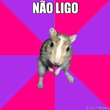 NO LIGO 