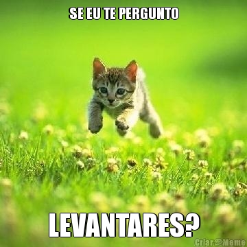 SE EU TE PERGUNTO LEVANTARES?