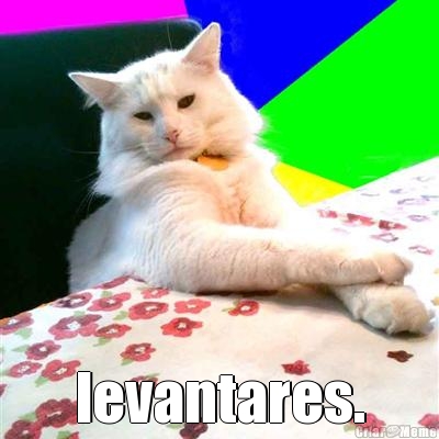  levantares.