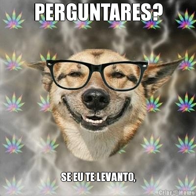 PERGUNTARES? SE EU TE LEVANTO,