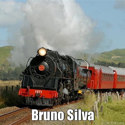  Bruno Silva