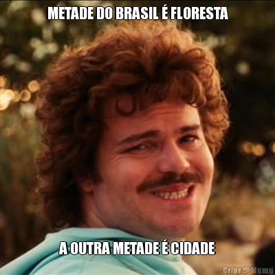 METADE DO BRASIL  FLORESTA A OUTRA METADE  CIDADE